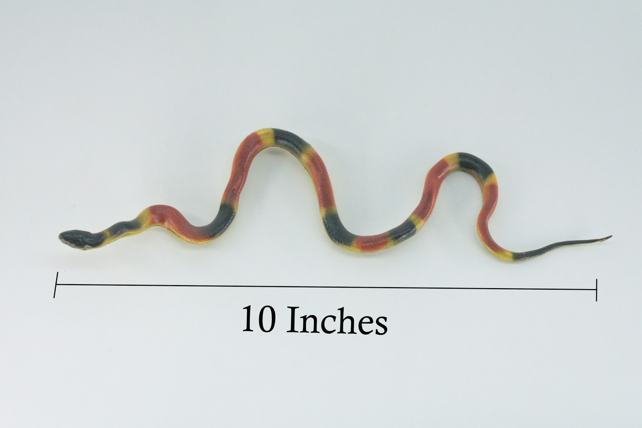 Coral snake, High Quality, Hand Painted, Hard Rubber, Realistic Reptile, Toy Figure, Model, Replica, Kids, Educational, Gift, 10"