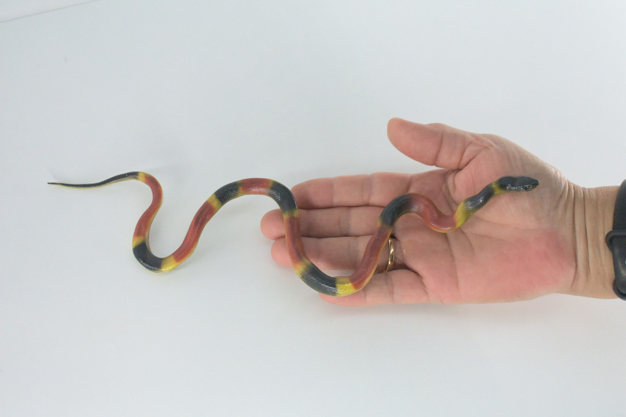 Coral snake, High Quality, Hand Painted, Hard Rubber, Realistic Reptile, Toy Figure, Model, Replica, Kids, Educational, Gift, 10"
