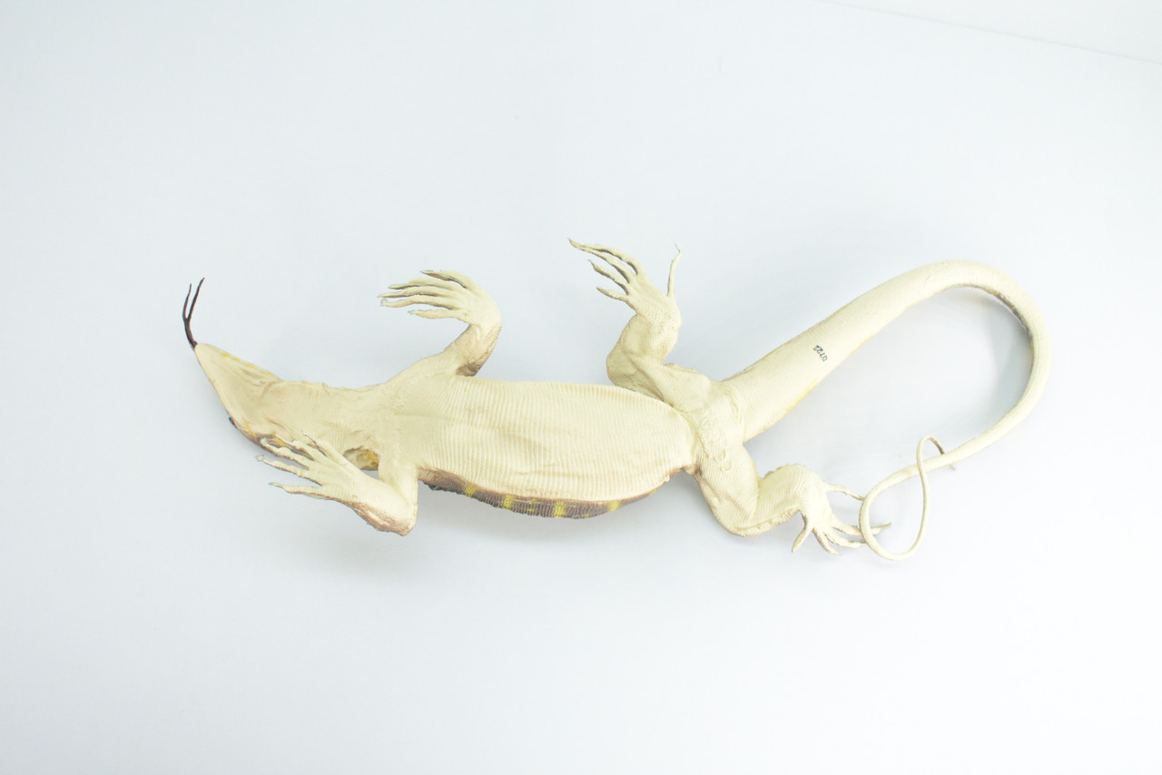 Monitor Lizard, Hand Painted, High Quality, Hard Rubber Lizard, Realistic Reptile, Toy Figure, Model, Replica, Kids, Educational, Gift,    13"   IM20 B656