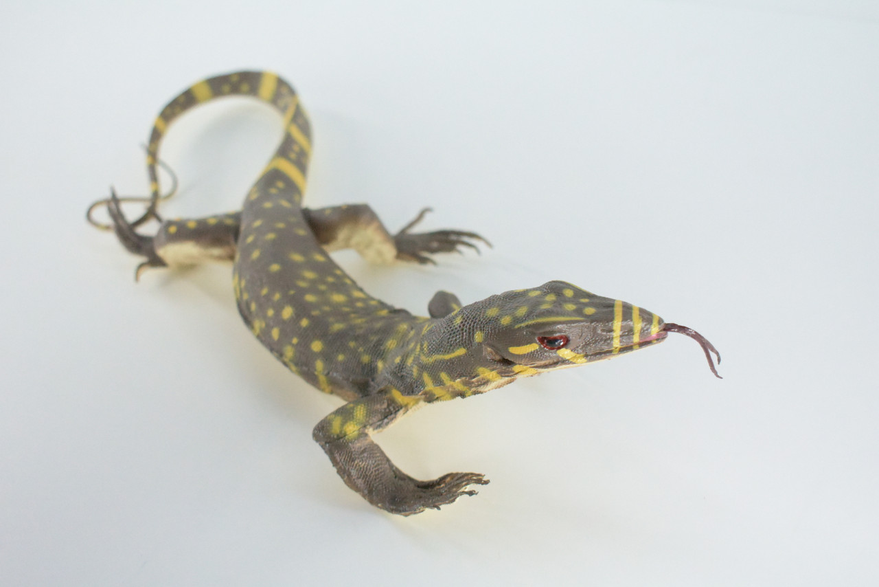 Monitor Lizard, Hand Painted, High Quality, Hard Rubber Lizard, Realistic Reptile, Toy Figure, Model, Replica, Kids, Educational, Gift,    13"   IM20 B656