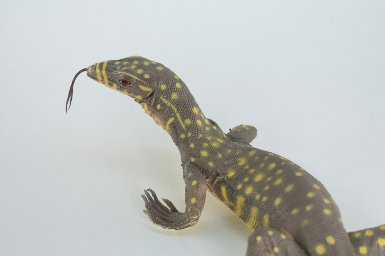 Monitor Lizard, Hand Painted, High Quality, Hard Rubber Lizard, Realistic Reptile, Toy Figure, Model, Replica, Kids, Educational, Gift,    13"   IM20 B656