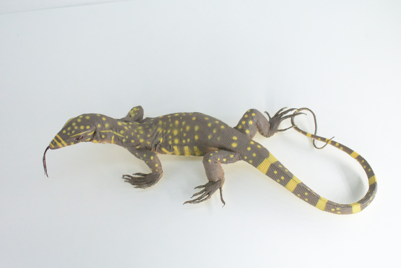 Monitor Lizard, Hand Painted, High Quality, Hard Rubber Lizard, Realistic Reptile, Toy Figure, Model, Replica, Kids, Educational, Gift,    13"   IM20 B656