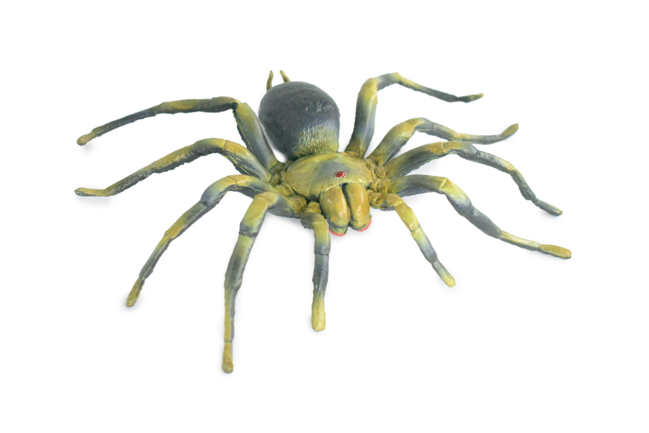 Tarantula Spider, Hand Painted, High Quality, Hard Rubber Spider, Realistic Insect, Toy Figure, Model, Replica, Kids, Educational, 5 Inches Wide.