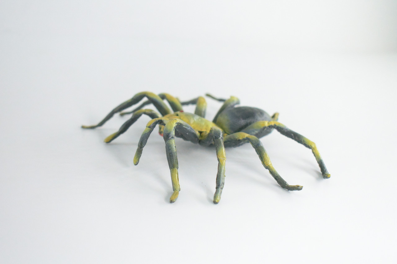 Tarantula Spider, Hand Painted, High Quality, Hard Rubber Spider, Realistic Insect, Toy Figure, Model, Replica, Kids, Educational, Gift,    5"   IM21 B654