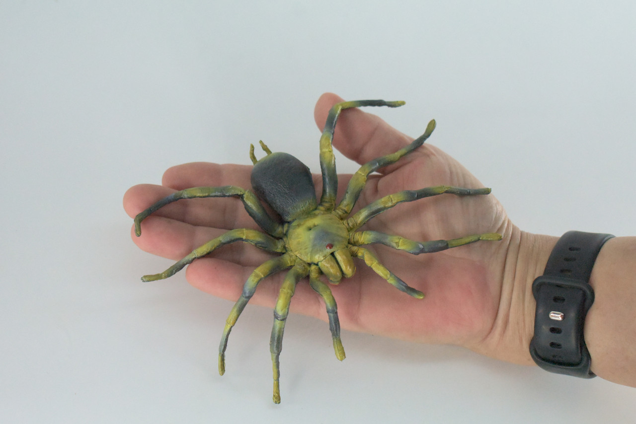 Tarantula Spider, Hand Painted, High Quality, Hard Rubber Spider, Realistic Insect, Toy Figure, Model, Replica, Kids, Educational, 5 Inches Wide.