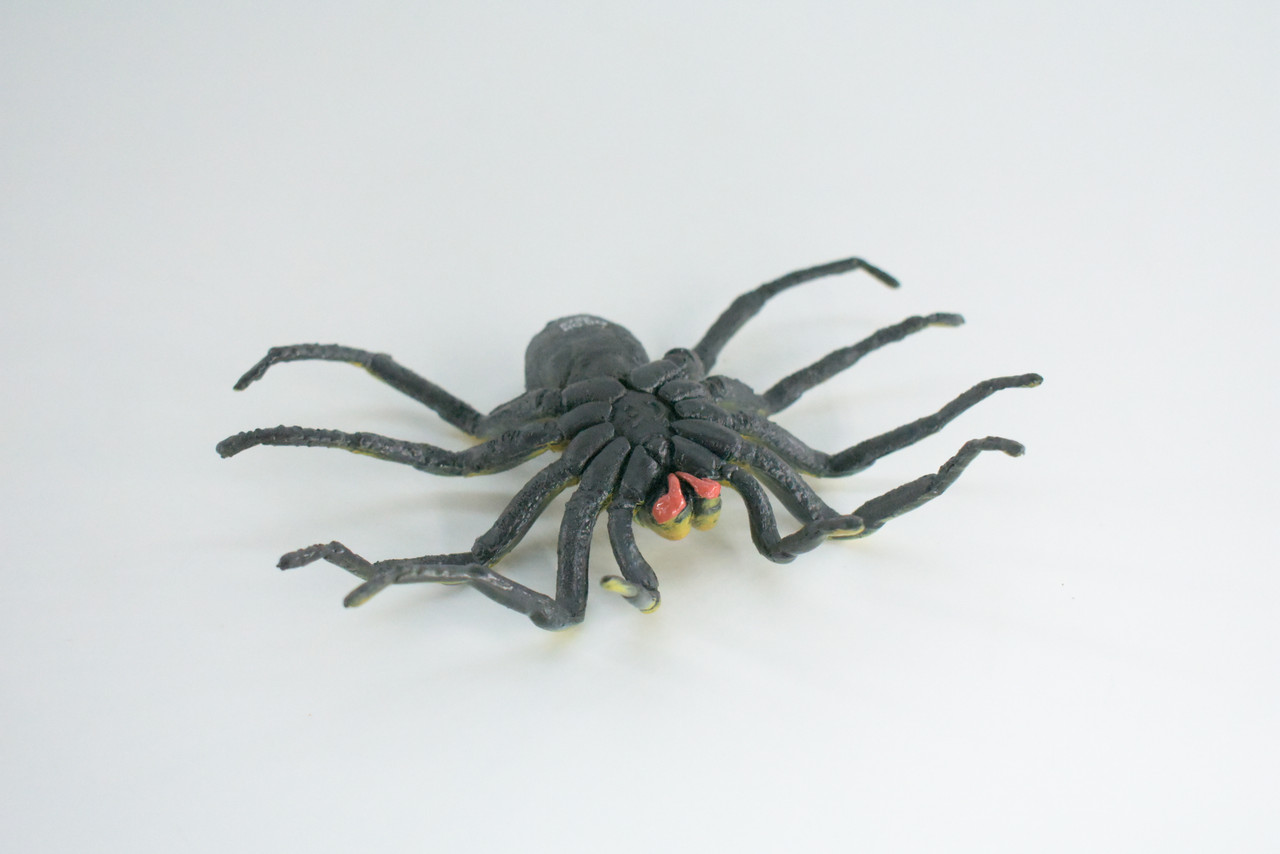Tarantula Spider, Hand Painted, High Quality, Hard Rubber Spider, Realistic Insect, Toy Figure, Model, Replica, Kids, Educational, Gift,    5"   IM21 B654