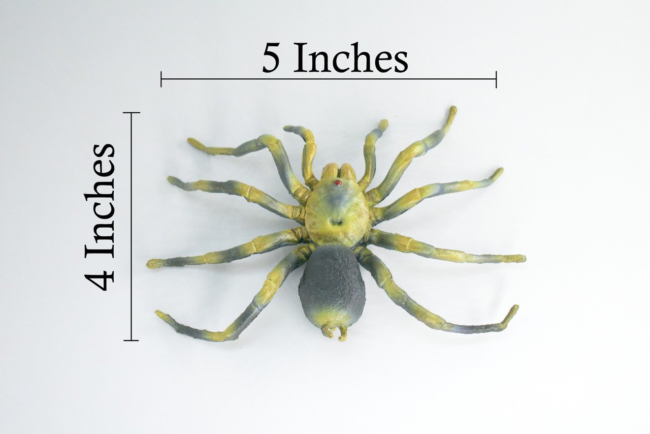 Tarantula Spider, Hand Painted, High Quality, Hard Rubber Spider, Realistic Insect, Toy Figure, Model, Replica, Kids, Educational, 5 Inches Wide.