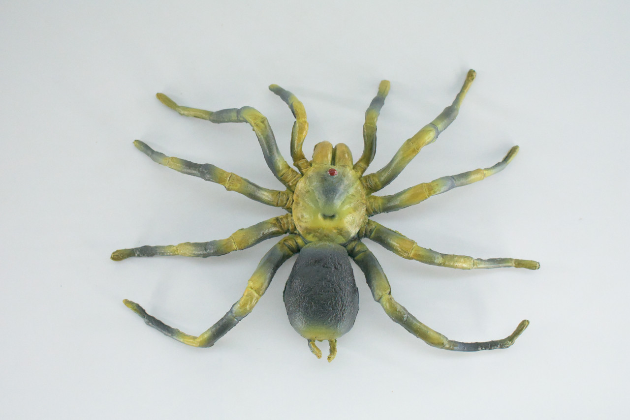 Tarantula Spider, Hand Painted, High Quality, Hard Rubber Spider, Realistic Insect, Toy Figure, Model, Replica, Kids, Educational, Gift,    5"   IM21 B654