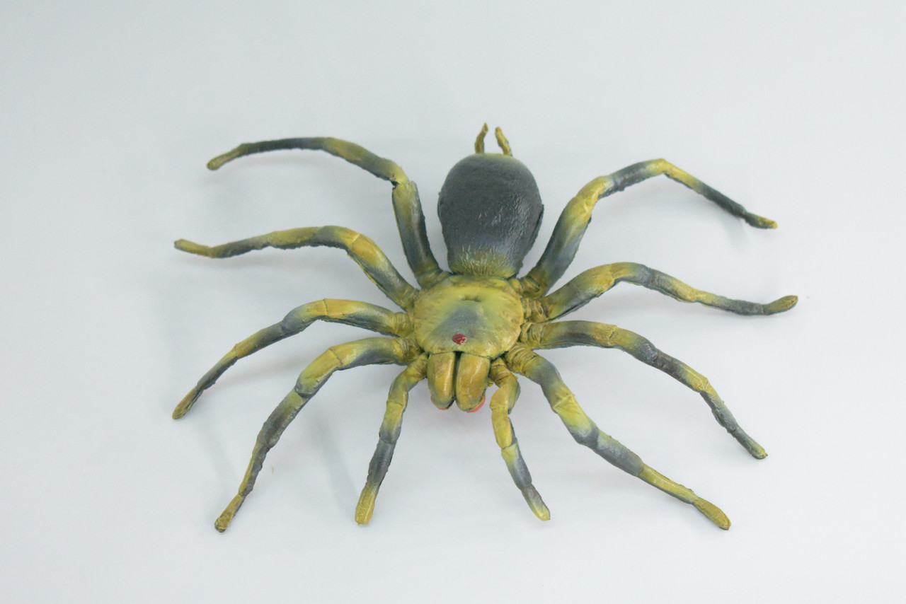 Tarantula Spider, Hand Painted, High Quality, Hard Rubber Spider, Realistic Insect, Toy Figure, Model, Replica, Kids, Educational, 5 Inches Wide.