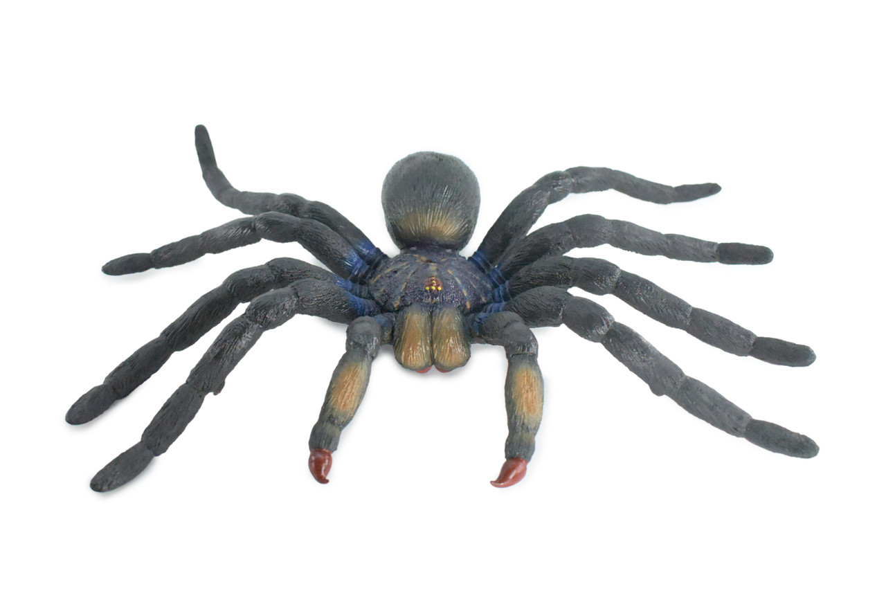 Tarantula Spider, Jumbo, Hand Painted, High Quality, Hard Rubber Spider, Realistic Insect, Toy Figure, Model, Replica, Kids, Educational, Gift, 14" IM22 B656