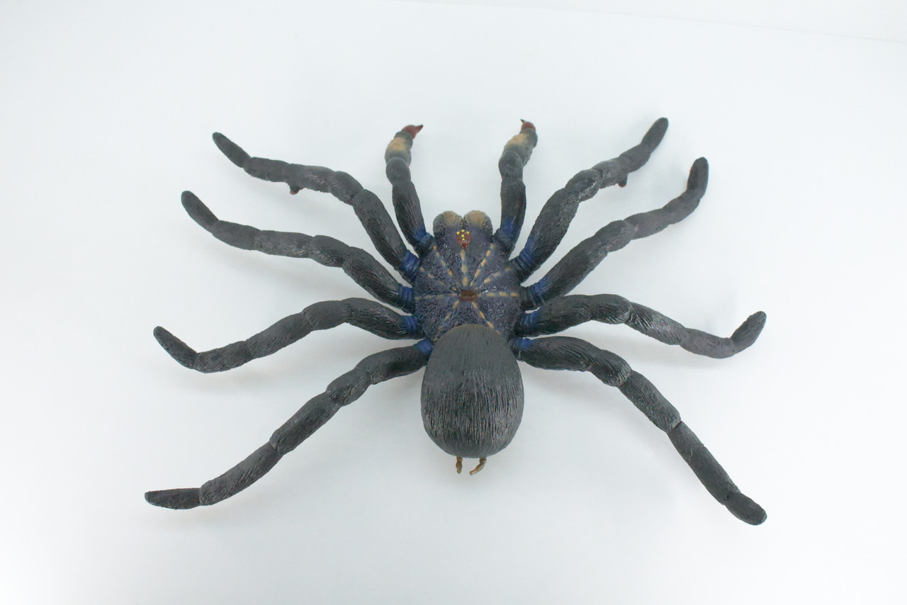 Tarantula Spider, Jumbo, Hand Painted, High Quality, Hard Rubber Spider, Realistic Insect, Toy Figure, Model, Replica, Kids, Educational, Gift,    14"   IM22 B656