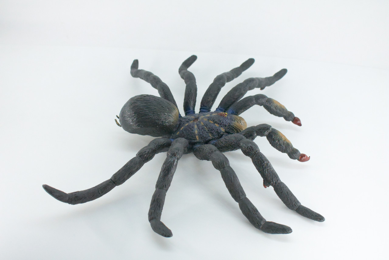 Tarantula Spider, Jumbo, Hand Painted, High Quality, Hard Rubber Spider, Realistic Insect, Toy Figure, Model, Replica, Kids, Educational, Gift,    14"   IM22 B656