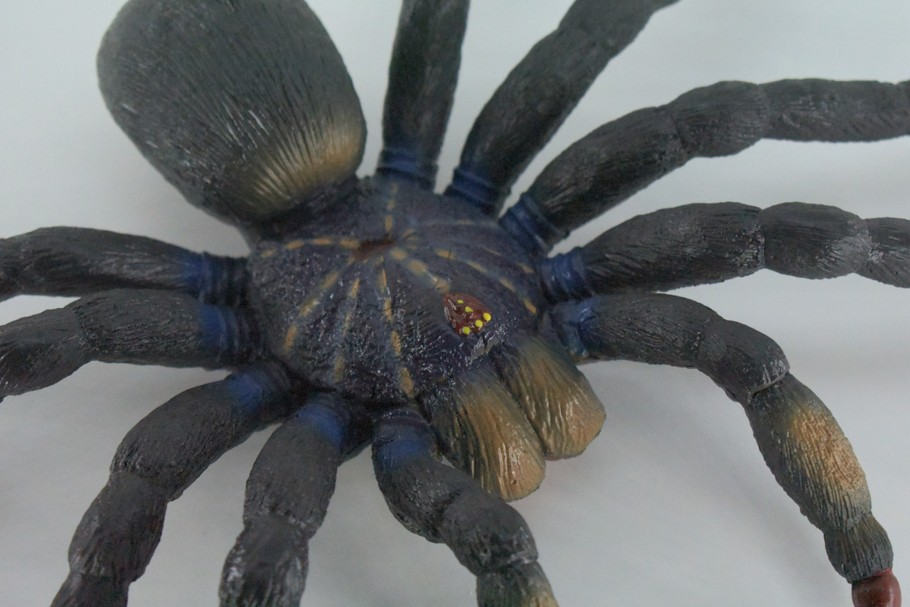 Tarantula Spider, Jumbo, Hand Painted, High Quality, Hard Rubber Spider, Realistic Insect, Toy Figure, Model, Replica, Kids, Educational, Gift,    14"   IM22 B656