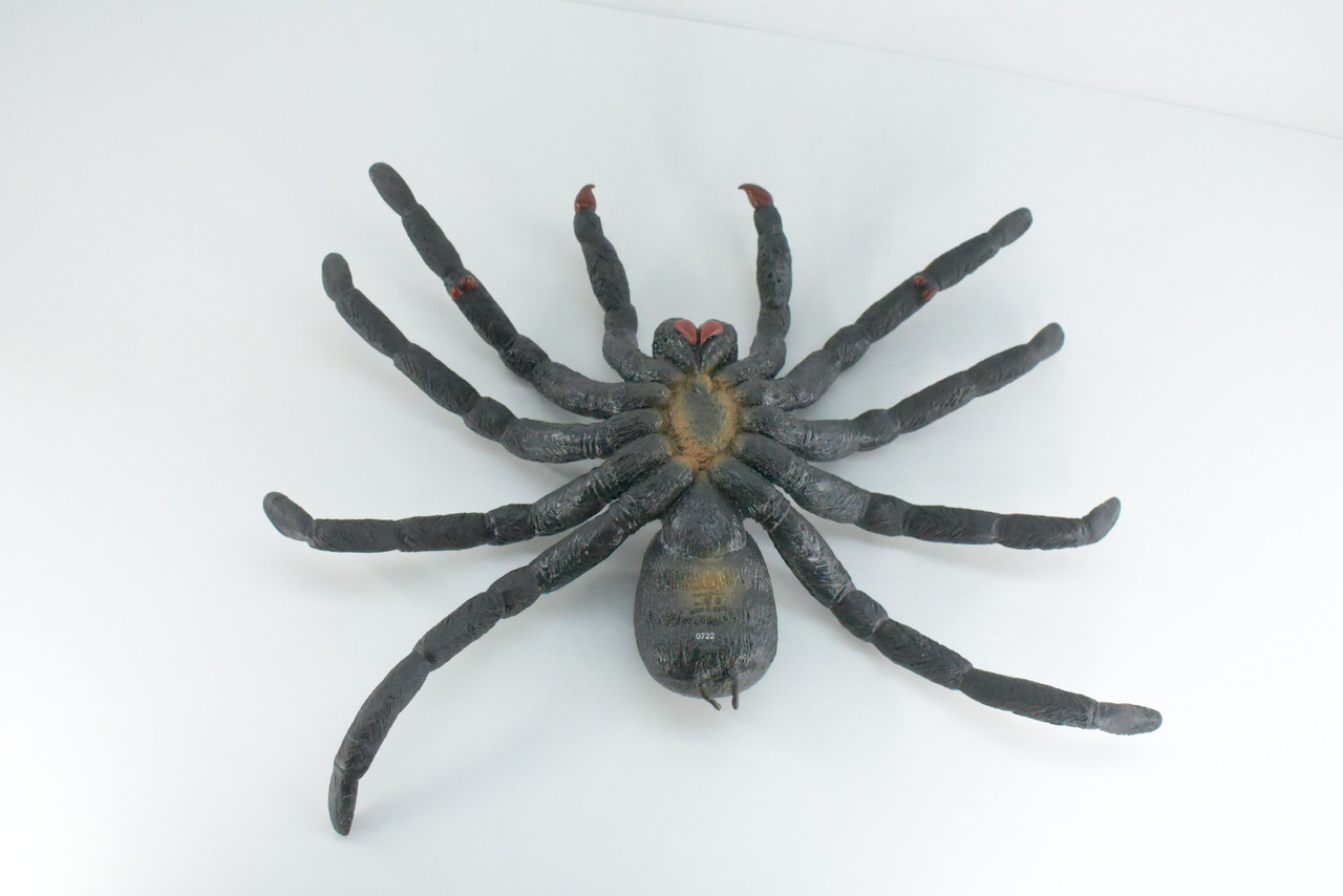 Tarantula Spider, Jumbo, Hand Painted, High Quality, Hard Rubber Spider, Realistic Insect, Toy Figure, Model, Replica, Kids, Educational, Gift,    14"   IM22 B656