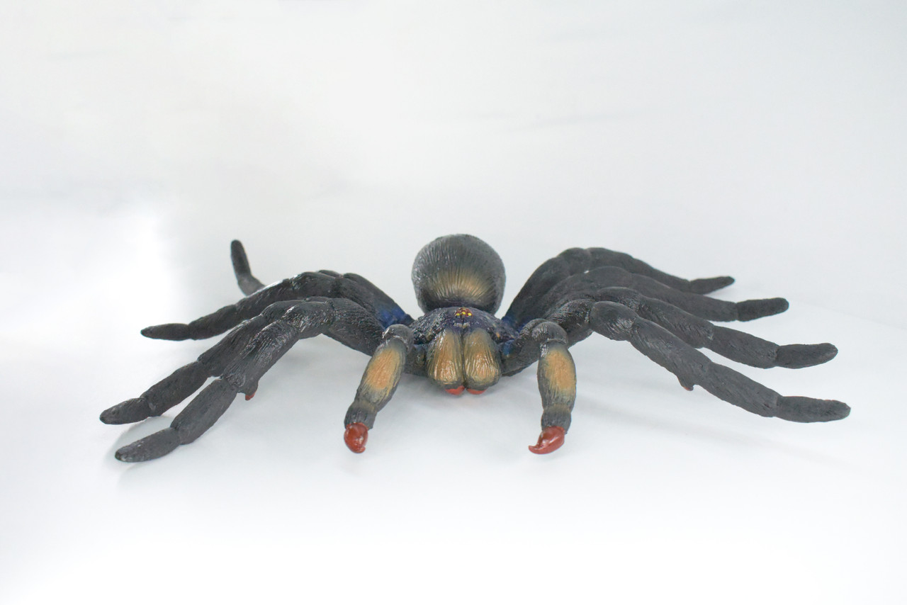 Tarantula Spider, Jumbo, Hand Painted, High Quality, Hard Rubber Spider, Realistic Insect, Toy Figure, Model, Replica, Kids, Educational, Gift,    14"   IM22 B656