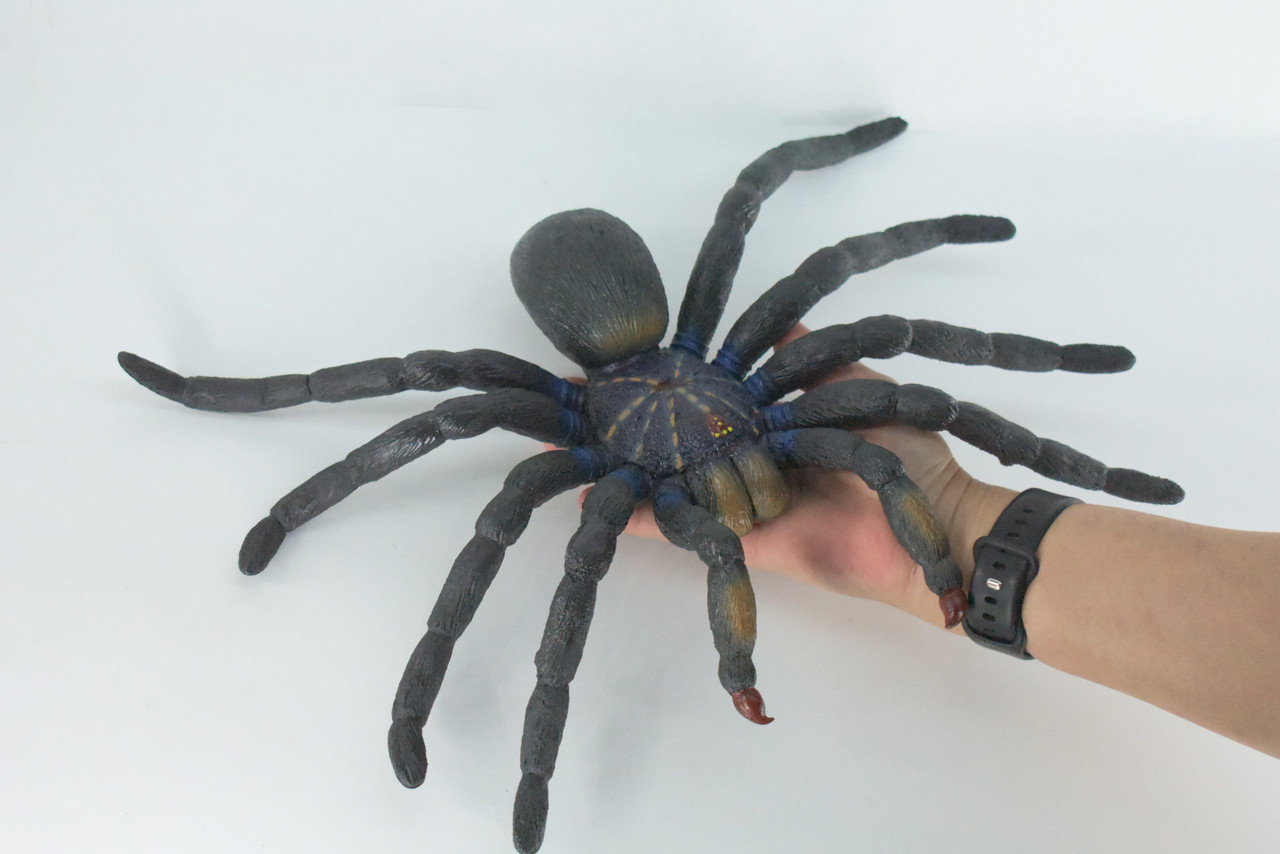 Tarantula Spider, Jumbo, Hand Painted, High Quality, Hard Rubber Spider, Realistic Insect, Toy Figure, Model, Replica, Kids, Educational, Gift,    14"   IM22 B656