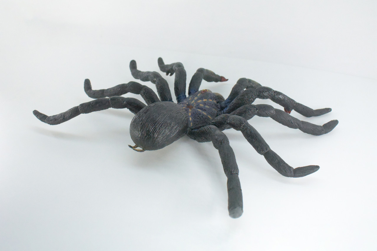 Tarantula Spider, Jumbo, Hand Painted, High Quality, Hard Rubber Spider, Realistic Insect, Toy Figure, Model, Replica, Kids, Educational, Gift,    14"   IM22 B656
