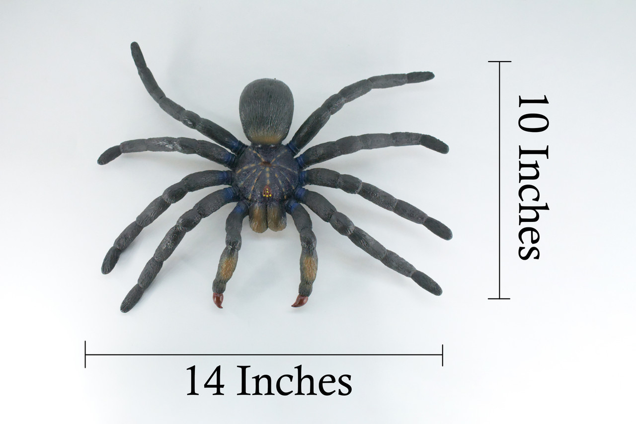 Tarantula Spider, Jumbo, Hand Painted, High Quality, Hard Rubber Spider, Realistic Insect, Toy Figure, Model, Replica, Kids, Educational, Gift,    14"   IM22 B656