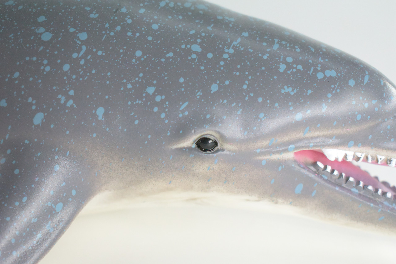 Dolphin, Jumbo, Hand Painted, High Quality, Soft Rubber Porpoise, Realistic, Toy Figure, Model, Replica, Kids, Educational, Gift,    15"   IM23 B656