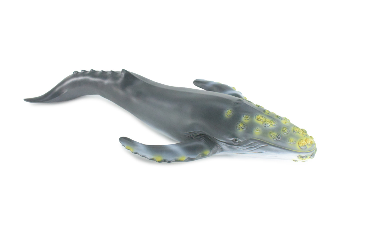 Humpback Whale, Jumbo, Hand Painted, High Quality, Soft Rubber Whale, Realistic, Toy Figure, Model, Replica, Kids, Educational, Gift, 21" IM24 B658