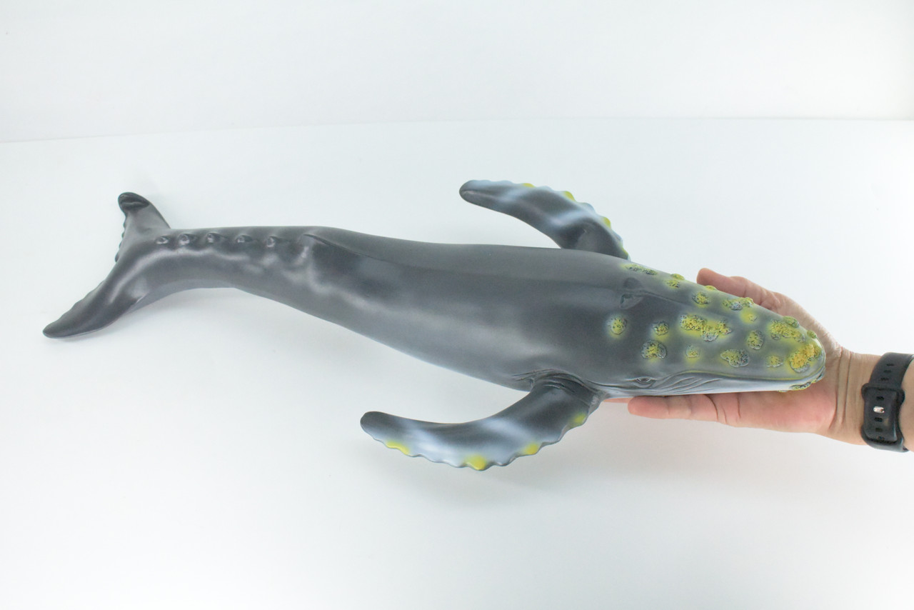 Humpback Whale, Jumbo, Hand Painted, High Quality, Soft Rubber Whale, Realistic, Toy Figure, Model, Replica, Kids, Educational  21 Inches.
