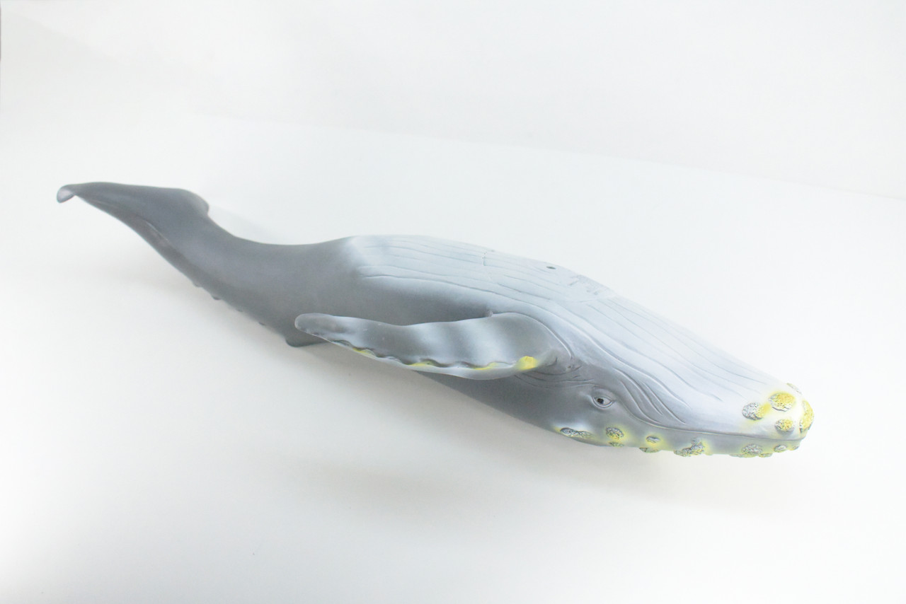 Humpback Whale, Jumbo, Hand Painted, High Quality, Soft Rubber Whale, Realistic, Toy Figure, Model, Replica, Kids, Educational, Gift,    21"   IM24 B658