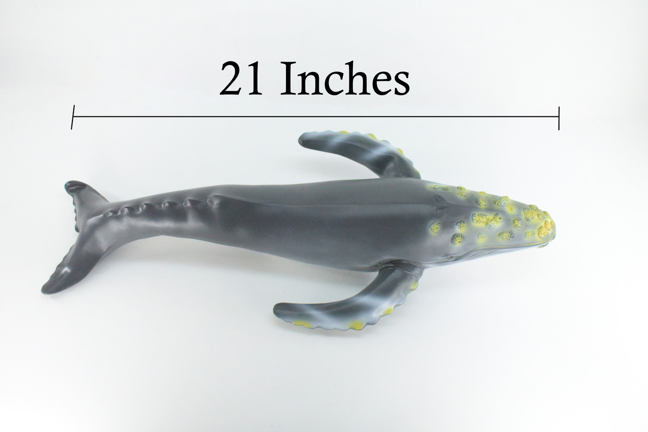 Humpback Whale, Jumbo, Hand Painted, High Quality, Soft Rubber Whale, Realistic, Toy Figure, Model, Replica, Kids, Educational  21 Inches.