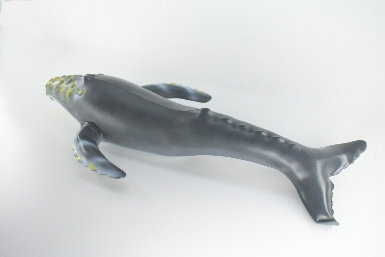 Humpback Whale, Jumbo, Hand Painted, High Quality, Soft Rubber Whale, Realistic, Toy Figure, Model, Replica, Kids, Educational, Gift,    21"   IM24 B658