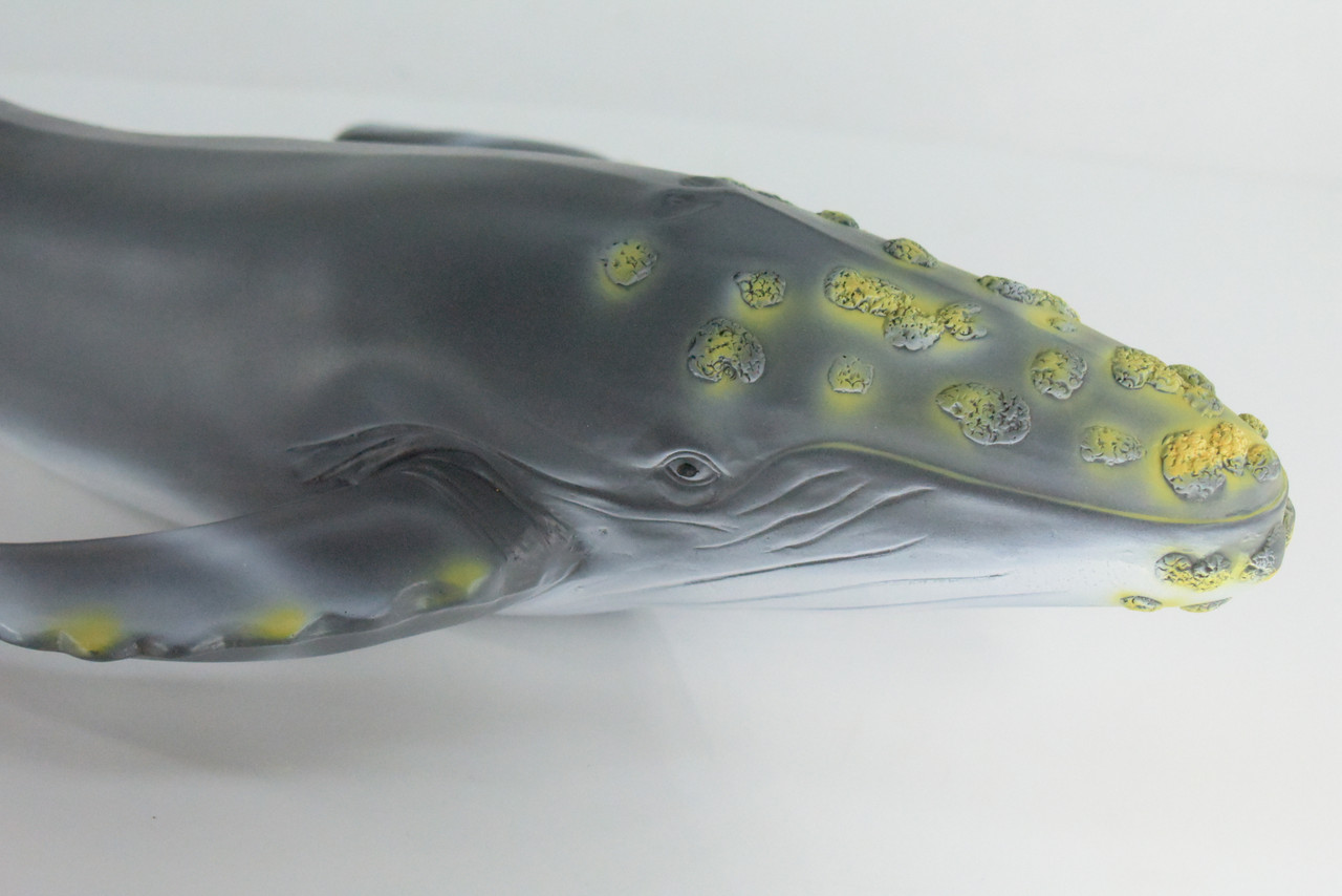 Humpback Whale, Jumbo, Hand Painted, High Quality, Soft Rubber Whale, Realistic, Toy Figure, Model, Replica, Kids, Educational, Gift,    21"   IM24 B658