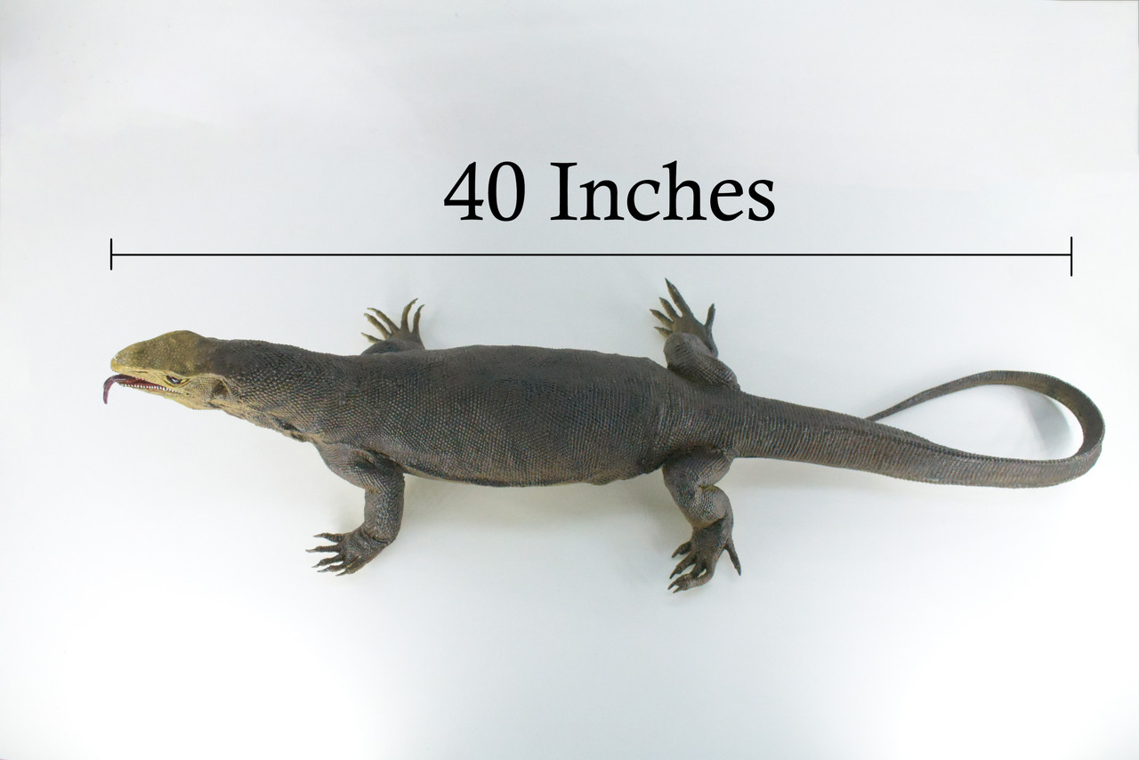 Monitor Lizard, Very Large, Hand Painted, Museum Quality, Hard Rubber Lizard, Realistic Reptile, Model, Replica, Educational,  40 Inches Long, 6 Inches Tall.