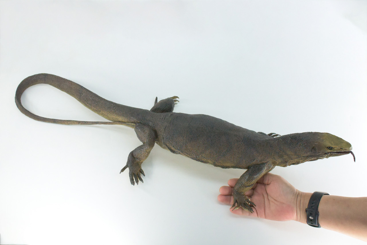 Monitor Lizard, Very Large, Hand Painted, Museum Quality, Hard Rubber Lizard, Realistic Reptile, Model, Replica, Educational,  40 Inches Long, 6 Inches Tall.