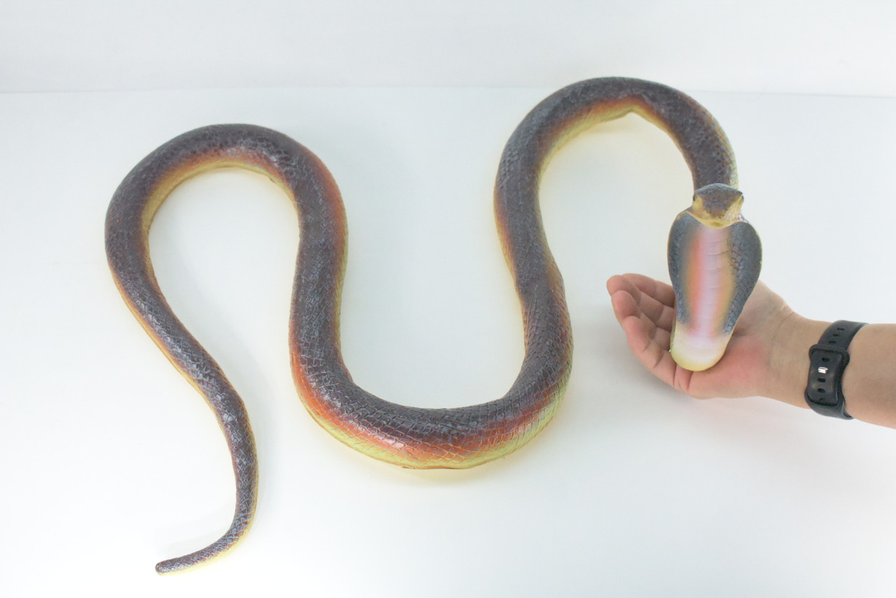 Cobra, Very Large, Hand Painted, Museum Quality, Soft Rubber Snake, Realistic Reptile, Model, Replica, Educational,  24 Inches, 7inches Tall.