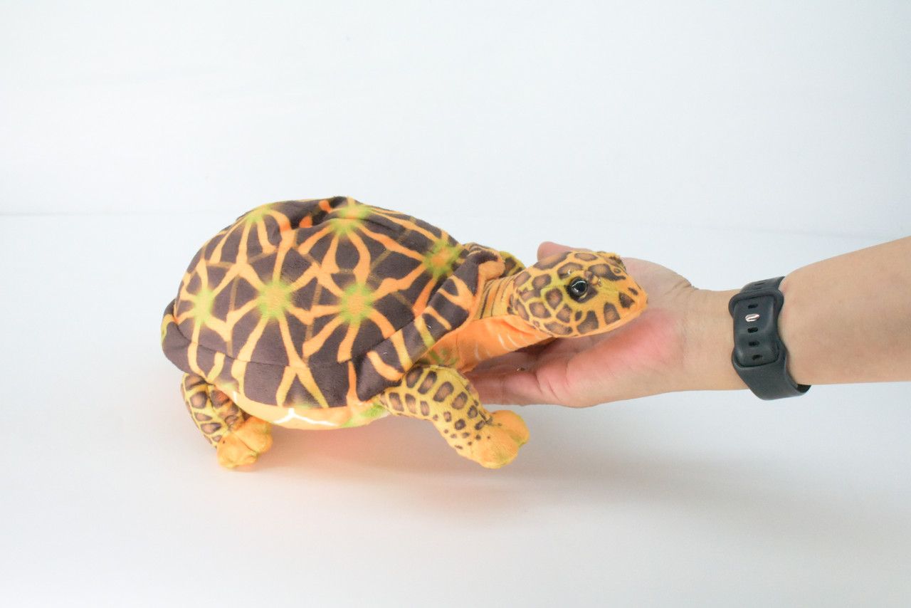 Box Turtle, Plush Animal, Soft, Stuffed Reptile Toy, Educational, Realistic, Beautiful Turtle Design, Figure, Lifelike, Replica, Gift,      11"   RI54 B662