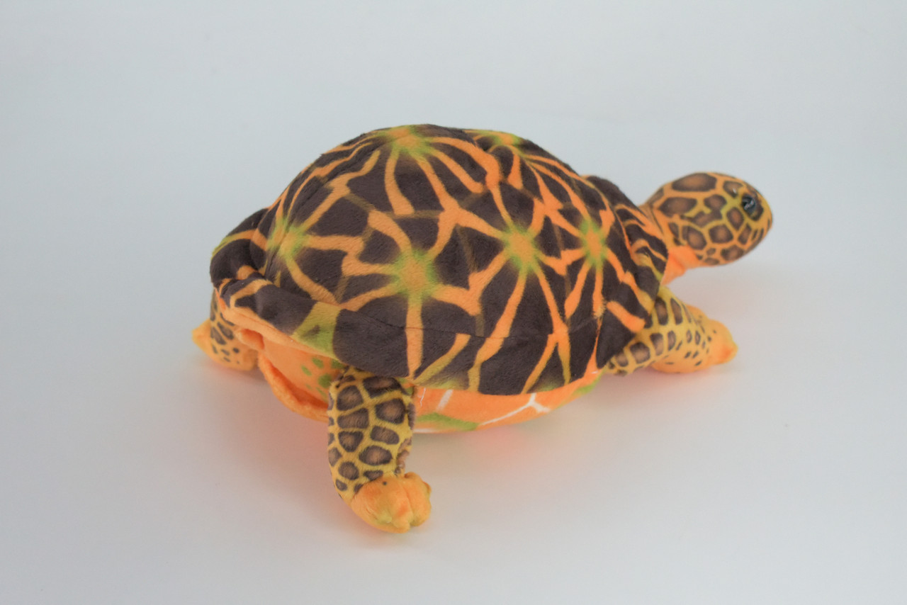 Box Turtle, Plush Animal, Soft, Stuffed Reptile Toy, Educational, Realistic, Beautiful Turtle Design, Figure, Lifelike, Replica, Gift,      11"   RI54 B662