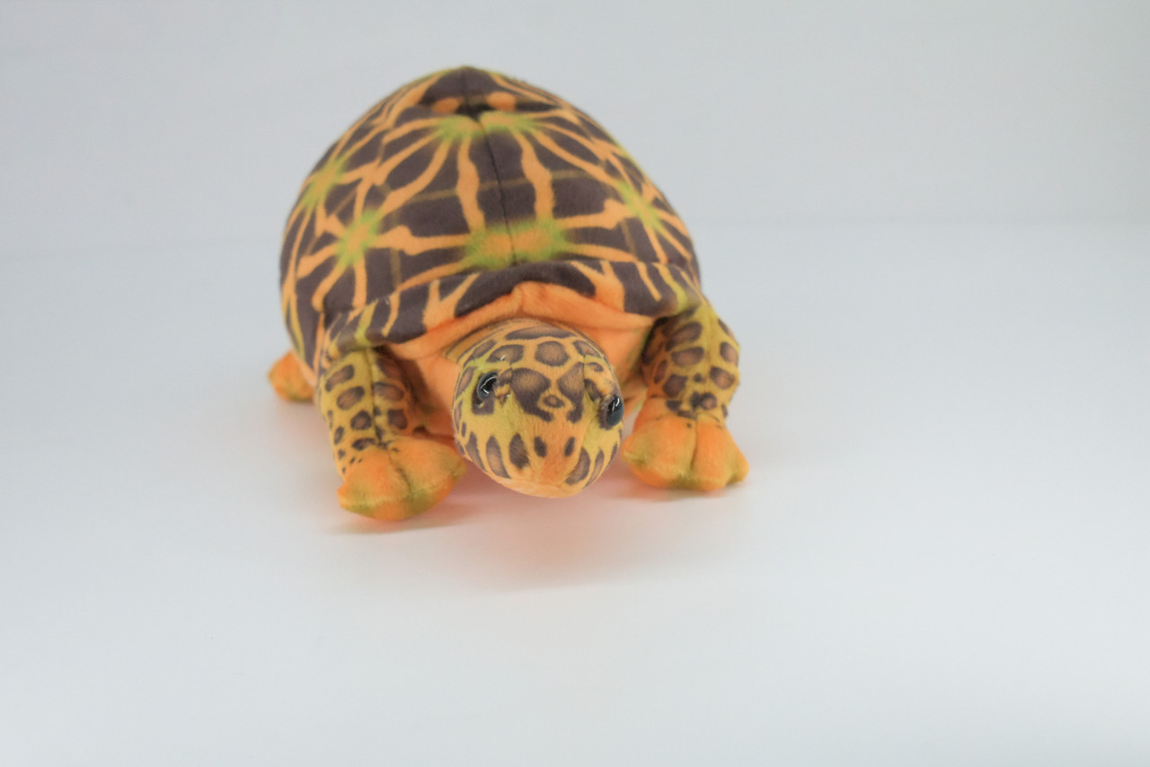 Box Turtle, Plush Animal, Soft, Stuffed Reptile Toy, Educational, Realistic, Beautiful Turtle Design, Figure, Lifelike, Replica, Gift,      11"   RI54 B662