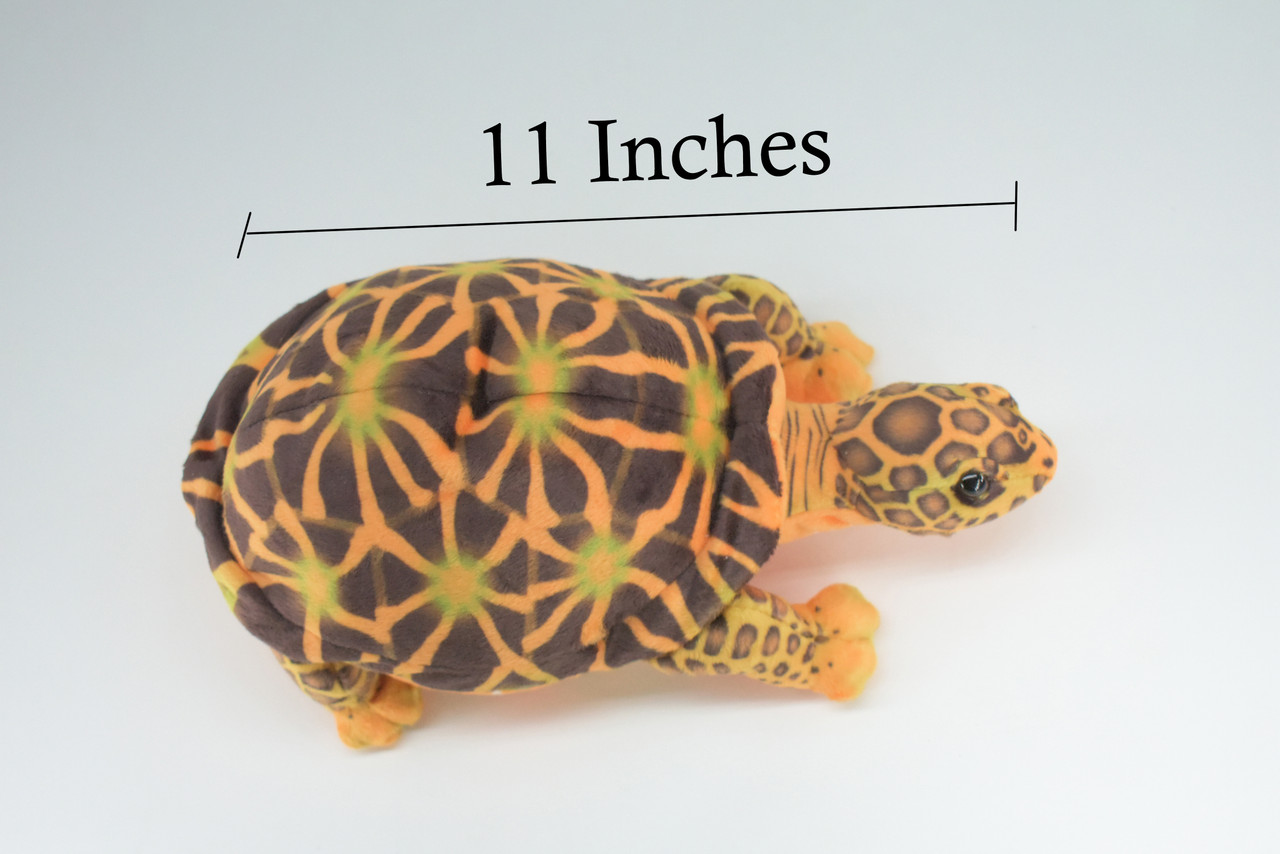 Box Turtle, Plush Animal, Soft, Stuffed Reptile Toy, Educational, Realistic, Beautiful Turtle Design, Figure, Lifelike, Replica, Gift,      11"   RI54 B662