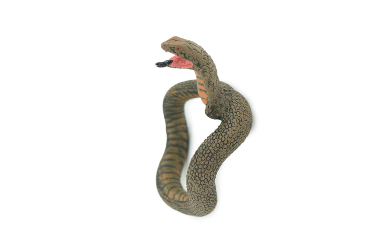 Cobra Snake Bracelet, Snake Wrist Band, Plastic Reptile, Educational, Realistic, Beautiful Design, Figure, Lifelike, Replica, Gift, 3" RI67 B663