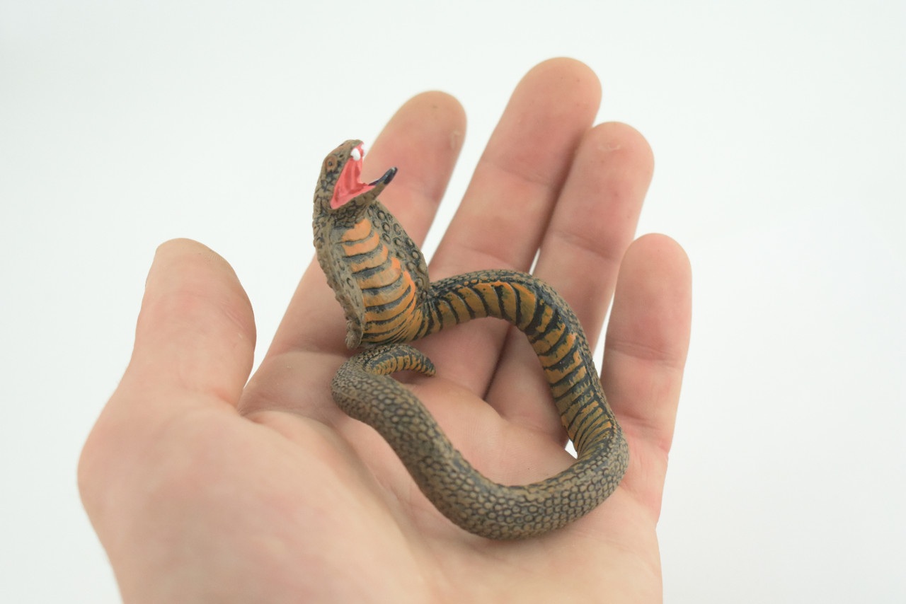 Cobra Snake Bracelet, Snake Wrist Band, Plastic Reptile, Educational, Realistic, Beautiful Design, Figure, Lifelike, Replica, Gift, 3" RI67 B663