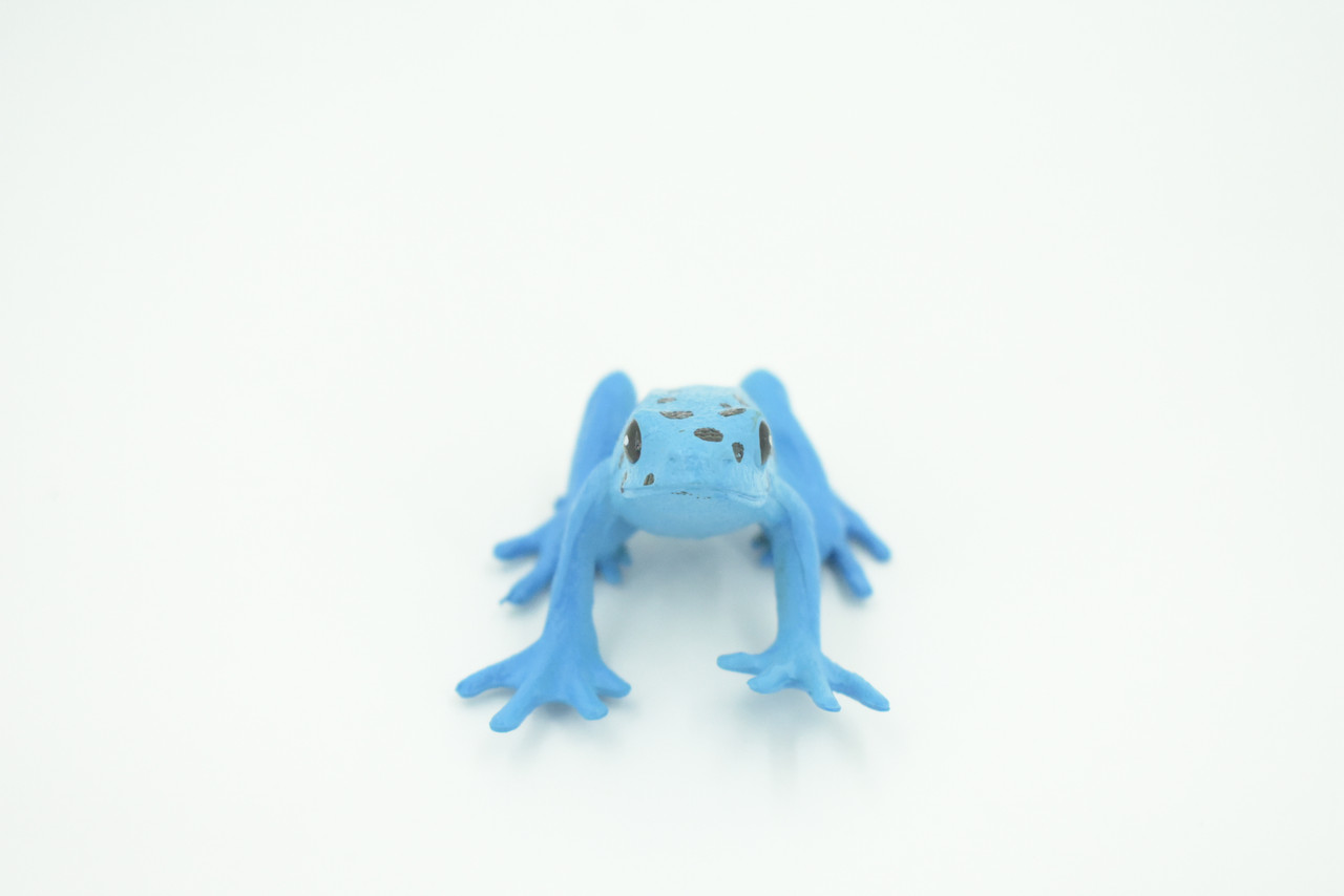 Blue Poison Dart Frog, Hand Painted, Amphibian, Hard Rubber, Realistic Frog, Toy, Kids, Educational, Gift,      2"    F4410 B9