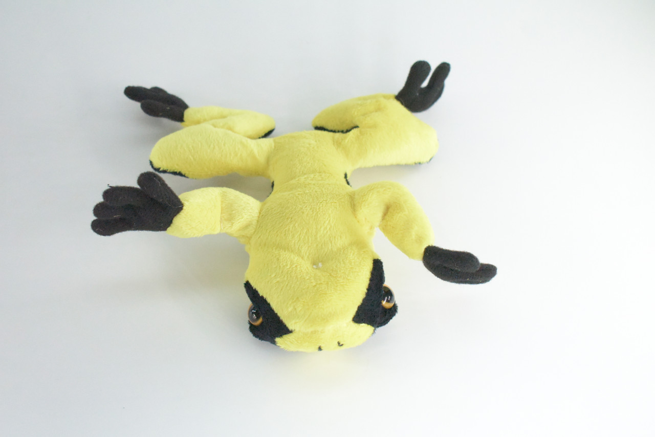 Yellow-Banded Poison Dart Frog, Very Nice Plush Amphibian, Stuffed Animal, Educational, Toy, Kids, Realistic Figure, Lifelike Model, Gift,    7"    FT19 B149 