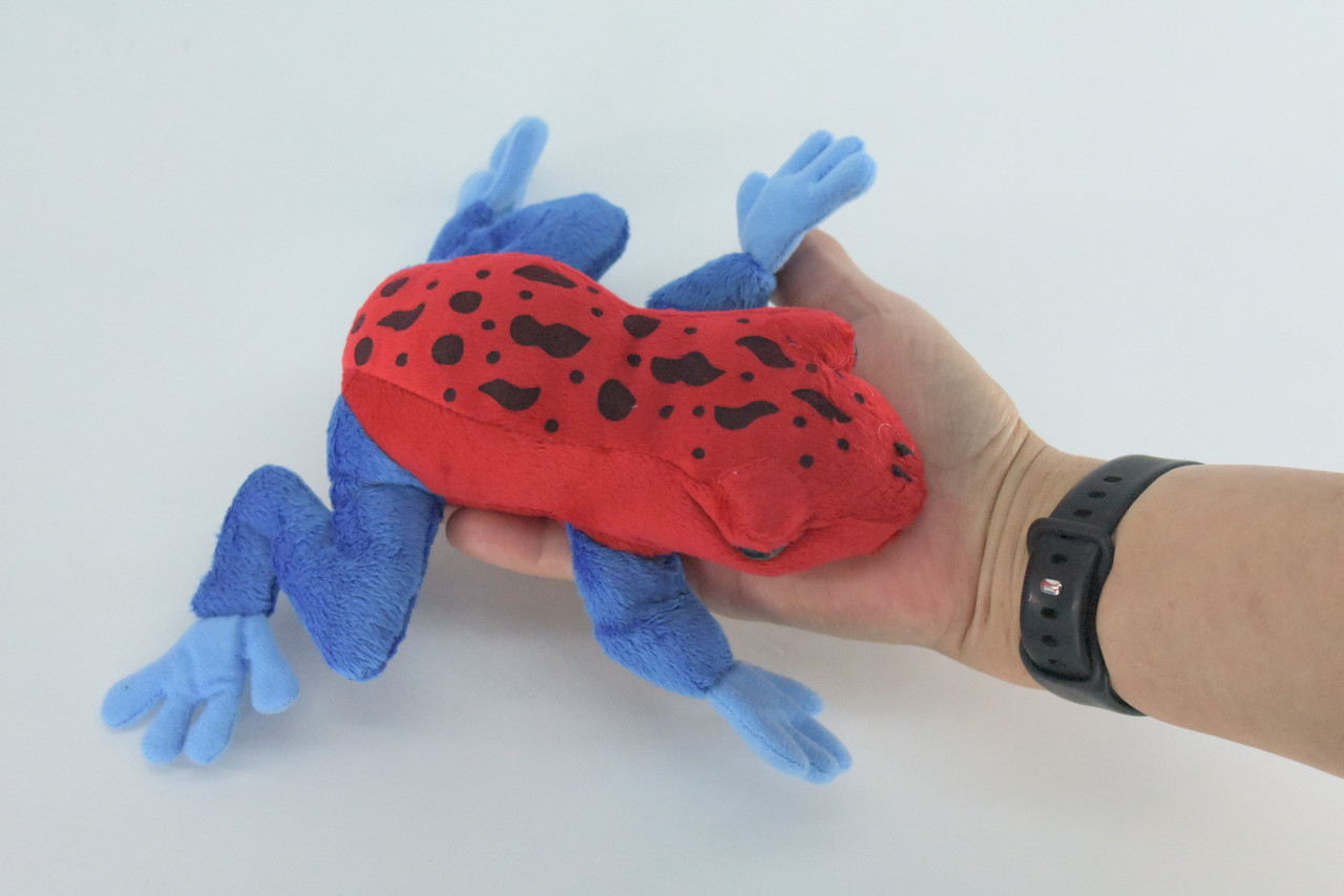 Strawberry Poison Dart Frog, Very Nice Plush Amphibian, Stuffed Animal, Educational, Toy, Kids, Realistic Figure, Lifelike Model, Gift,    7"    FT18 B149