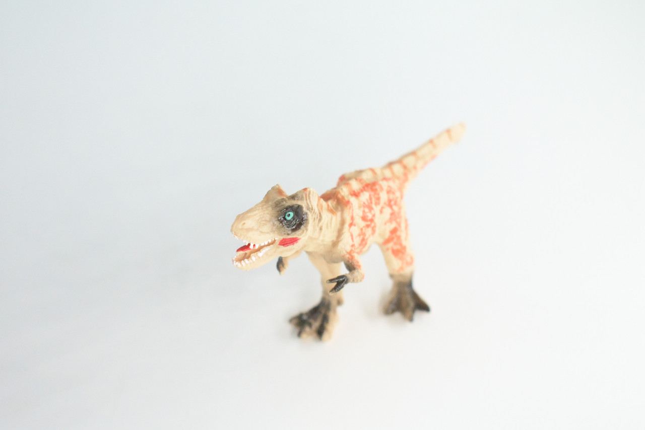 T-Rex, Tyrannosaurus rex, Hard Rubber Dinosaur, Reptile Toy, Educational, Realistic, Beautiful Design, Figure, Lifelike, Replica, Gift    5"    FT16 B71