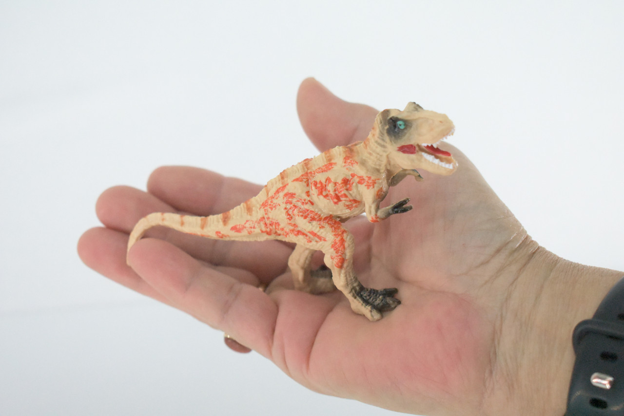 T-Rex, Tyrannosaurus rex, Hard Rubber Dinosaur, Reptile Toy, Educational, Realistic, Beautiful Design, Figure, Lifelike, Replica, Gift    5"    FT16 B71