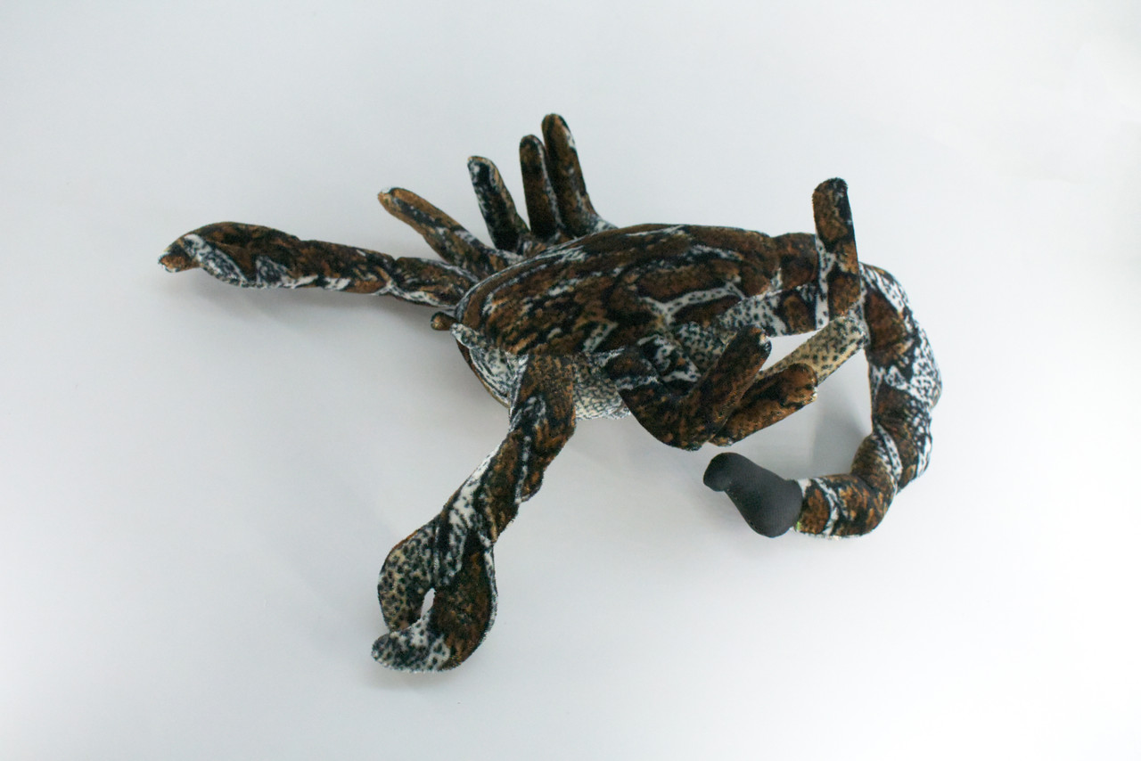 Scorpion, Brown, Very Nice Plush, Stuffed Arachnids, Educational, Toy, Kids, Realistic Figure, Lifelike Model, Replica, Gift,    14"    FT13 BB326