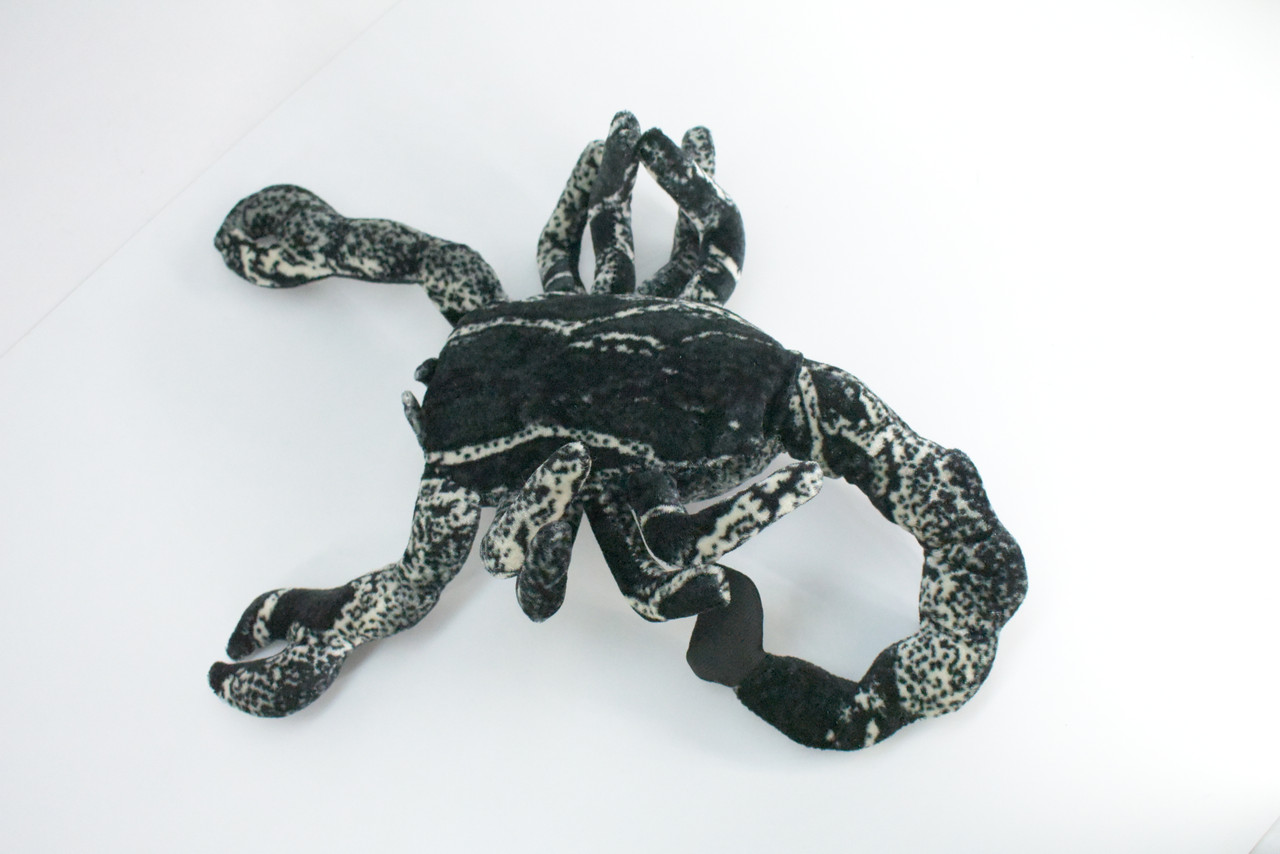 Scorpion, Black, Very Nice Plush, Stuffed Arachnids, Educational, Toy, Kids, Realistic Figure, Lifelike Model, Replica, Gift,    14"    FT12 BB326