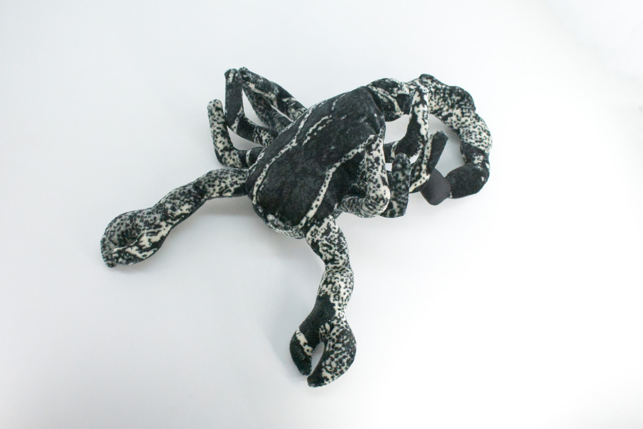 Scorpion, Black, Very Nice Plush, Stuffed Arachnids, Educational, Toy, Kids, Realistic Figure, Lifelike Model, Replica, Gift,    14"    FT12 BB326