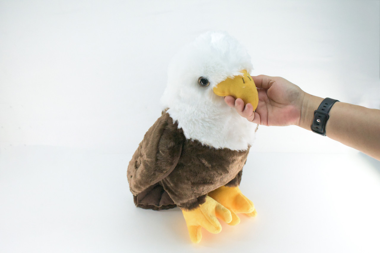 Eagle, American Bald Eagle, Very Nice Plush Bird, Stuffed Animal, Educational, Toy, Kids, Realistic Figure, Lifelike Model, Replica, Gift,    17"    FT06 BB323