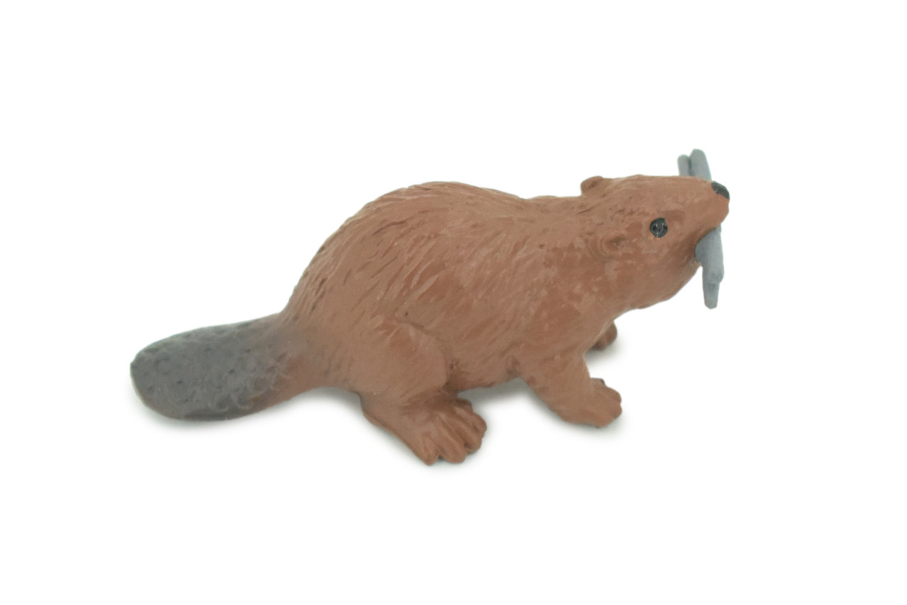 Beaver, Reddish Brown Castor, Very Nice Rubber Animal, Educational, Realistic Figure, Lifelike Model, Figurine, Toy, Kids, Gift, 2 1/4 Inches. F3538 B138