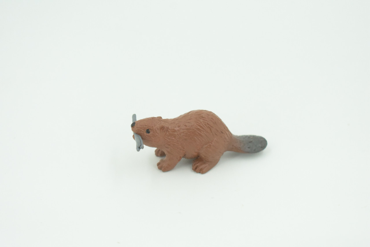 Beaver, Reddish Brown Castor, Very Nice Rubber Animal, Educational, Realistic Figure, Lifelike Model, Figurine, Toy, Kids,  Gift,    2 1/4 Inches.   F3538 B138