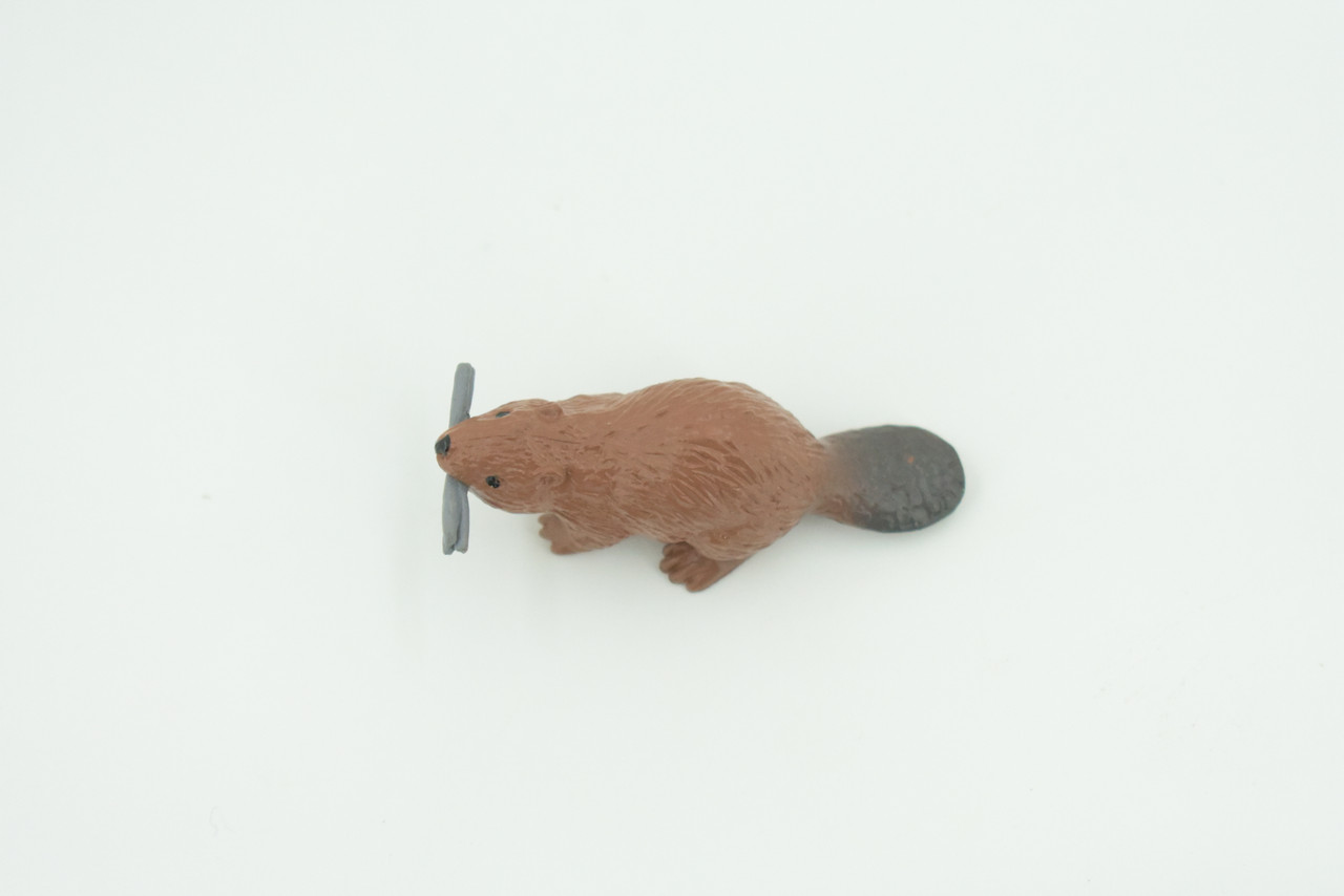 Beaver, Reddish Brown Castor, Very Nice Rubber Animal, Educational, Realistic Figure, Lifelike Model, Figurine, Toy, Kids,  Gift,    2 1/4 Inches.   F3538 B138